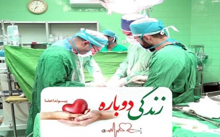 اهدا همزمان اعضای بدن دو بیمار مرگ مغزی در یاسوج