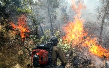 آتش‌سوزی در ارتفاعات دشتک دیل گچساران مهار شد