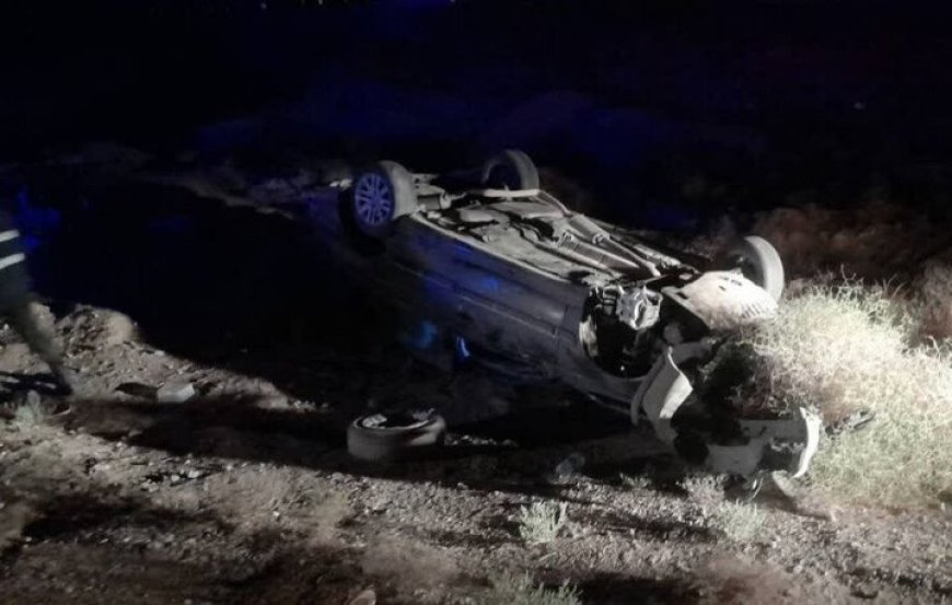 عبور گراز از جاده موجب واژگونی خودرو و فوت یک خانم باردار در بستک شد