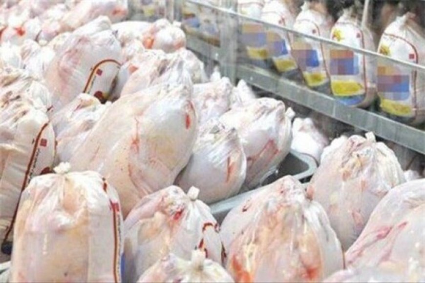 مرغ منجمد تنظیم بازار در گناوه و بندرریگ توزیع می‌شود