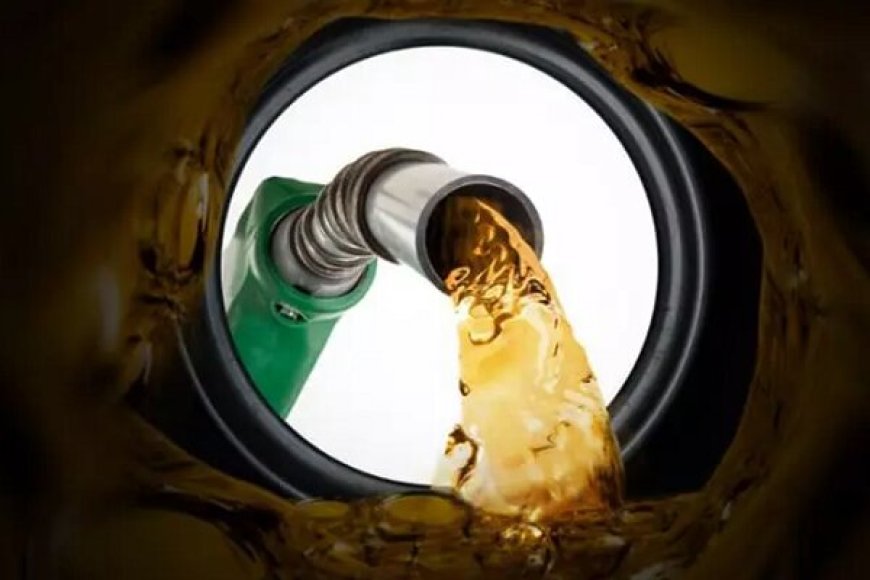 مجازات سنگین برای مدیران سه شرکت بزرگ نفتی در هرمزگان