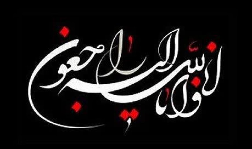 مادر شهیدان مشتاق‌زاده به فرزندان شهیدش پیوست