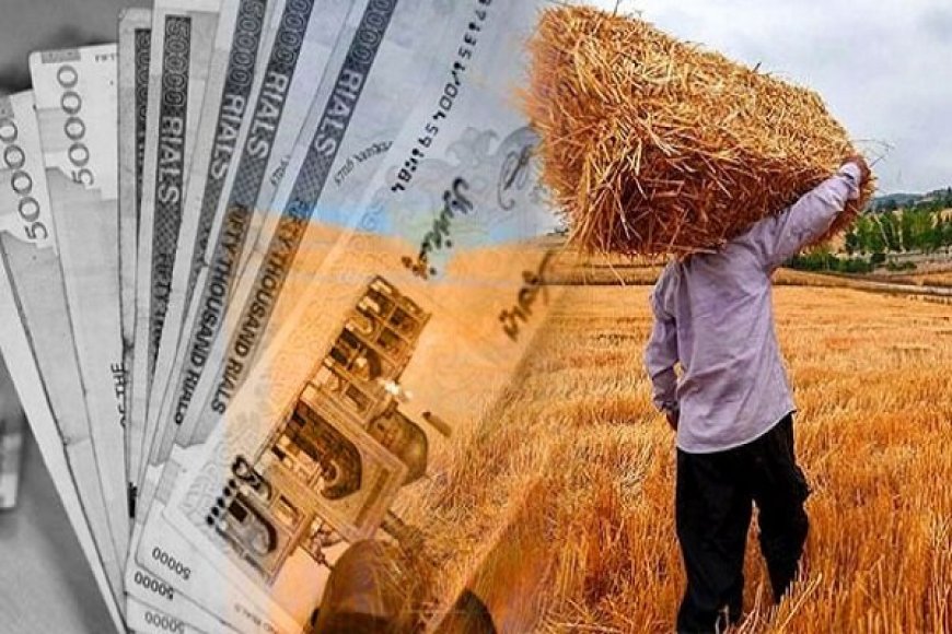 پرداخت ۹۵درصد مطالبات گندم‌کاران استان کهگیلویه وبویر احمد