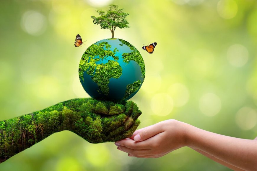 ۱۰ اثر موسیقایی و سینمایی محیط زیستی در بوشهر آماده رونمایی است