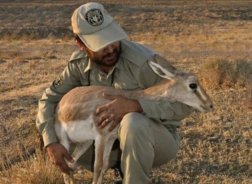مناطق حفاظت شده کهگیویه وبویراحمد نیازمند 257محیط بان