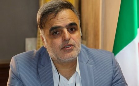 هشدار دادگستری فارس درباره شیوع کلاهبرداری اینترنتی «قصابی خوک»