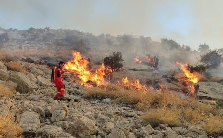 آتش در ارتفاعات کوه بمو شیراز مهارشد