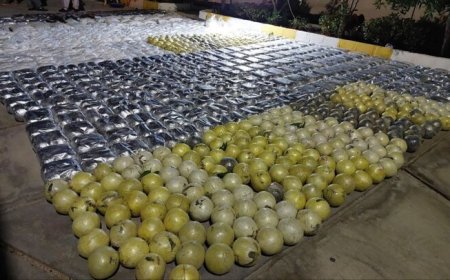 در یک سال گذشته/کشف ۱۰ تُن مواد مخدر در خوزستان