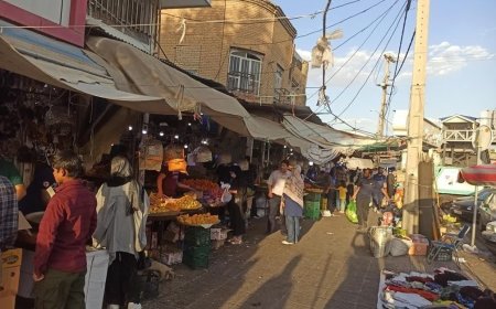 ساماندهی دروازه‌کازرون؛ انتقال صنوف به بازار پروتئین، مطالبه تحقق‌یافته مردم شیراز