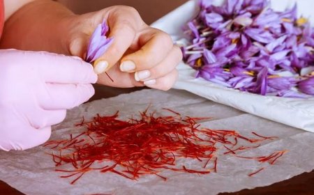  طلای سرخ، قربانی تقلب!