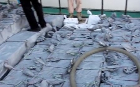 انهدام باند وارد کننده کالای ممنوعه در بندرلنگه