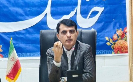 هشدار جدی در جاسک: ۵۲ قربانی شترهای سرگردان و ضرب‌الاجل دو هفته‌ای برای شناسایی صاحبان شتر
