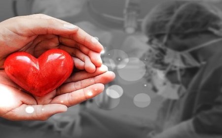 اهدای عضو شهروند کنگان بوشهر جان سه بیمار را نجات داد