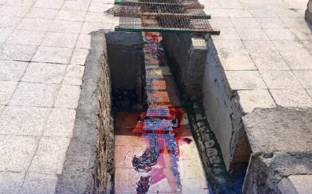 کشتارگاه دام بندرعباس به دلیل تهدید علیه سلامت عمومی پلمب شد