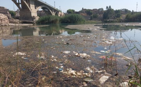 رشد عجیب جلبک و نیزار در رودخانه دز