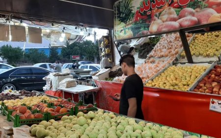 مدیرکل تعزیرات فارس: بیشترین تخلفات اصناف مربوط به گرانفروشی و عدم درج قیمت است