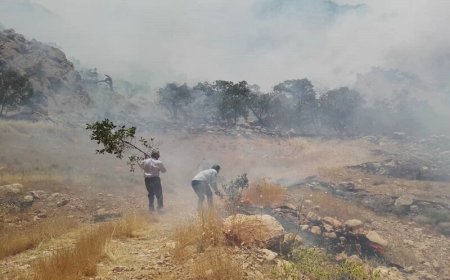 آتش‌سوزی در جنگل‌های «گناوه» گچساران بر اثر تیراندازی تفریحی