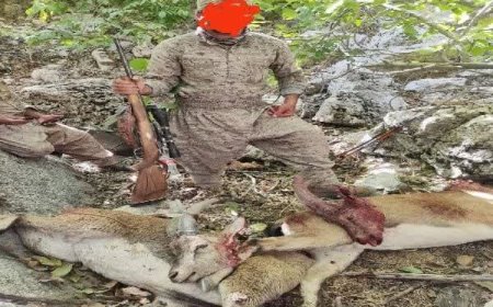شکارچی متخلف دنای شرقی دستگیر شد