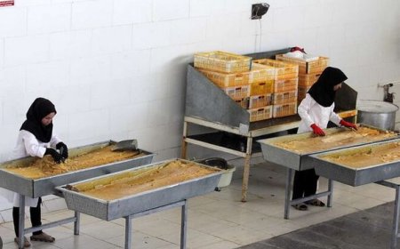 طرحی طبیب برای ایجاد اشتغال پایدار