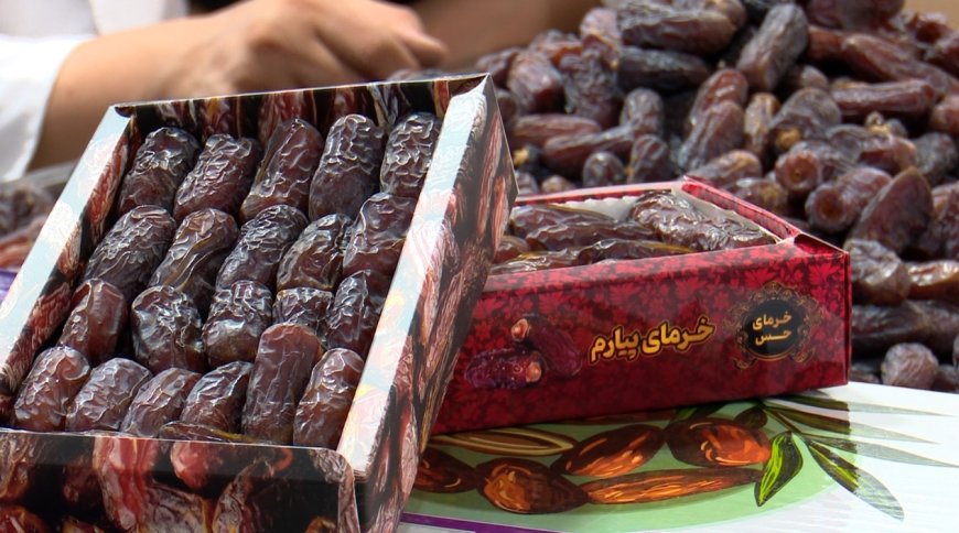 پیارم هرمزگان ؛ با کیفیت‌ترین خرمای کشوربه بازار آمد