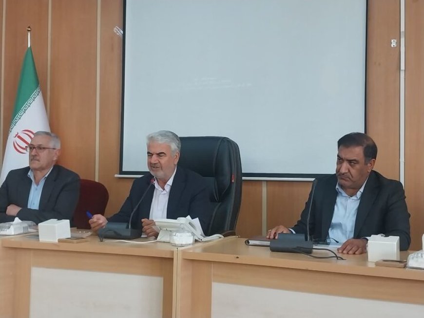 مدیرکل دامپزشکی کهگیلویه و بویراحمد: فروش مرغ زنده غیرمجاز عامل اصلی خطر آنفولانزای فوق‌حاد پرندگان