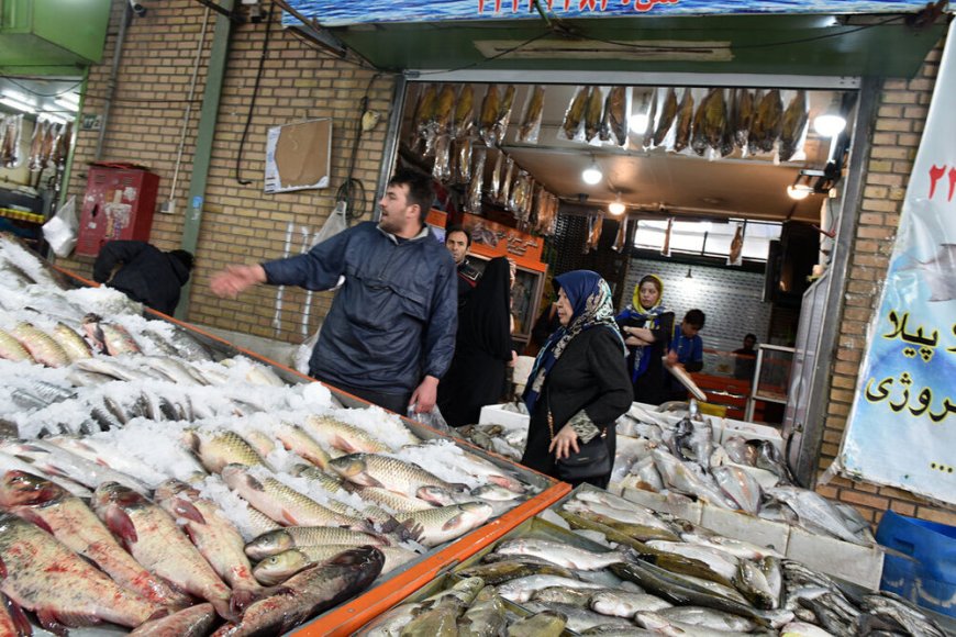 قیمت امروز ماهی و میگو در بازار جنوب