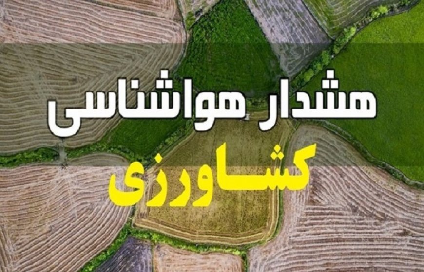 هشدار زرد هواشناسی فارس برای کشاورزان / کاهش محسوس دمای شبانه در راه است