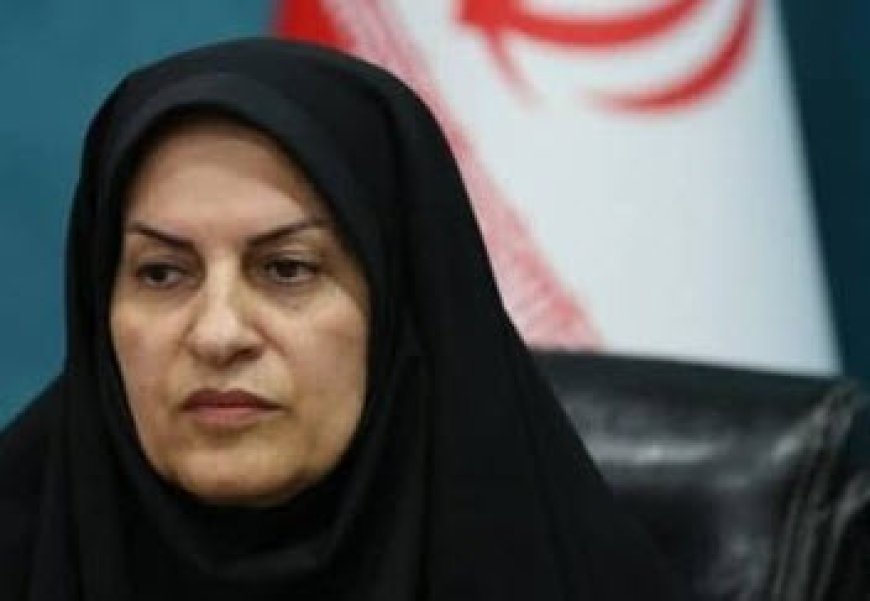 مدیرکل اجتماعی استانداری بوشهر: نیازهای کودکان مورد توجه قرار گیرد
