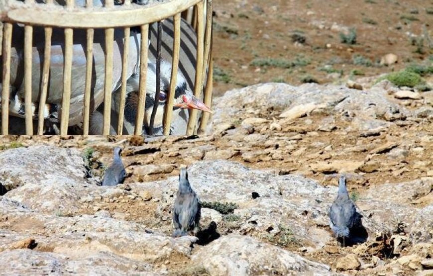 کشف و جمع‌آوری ابزارهای صید غیرمجاز در سیریک
