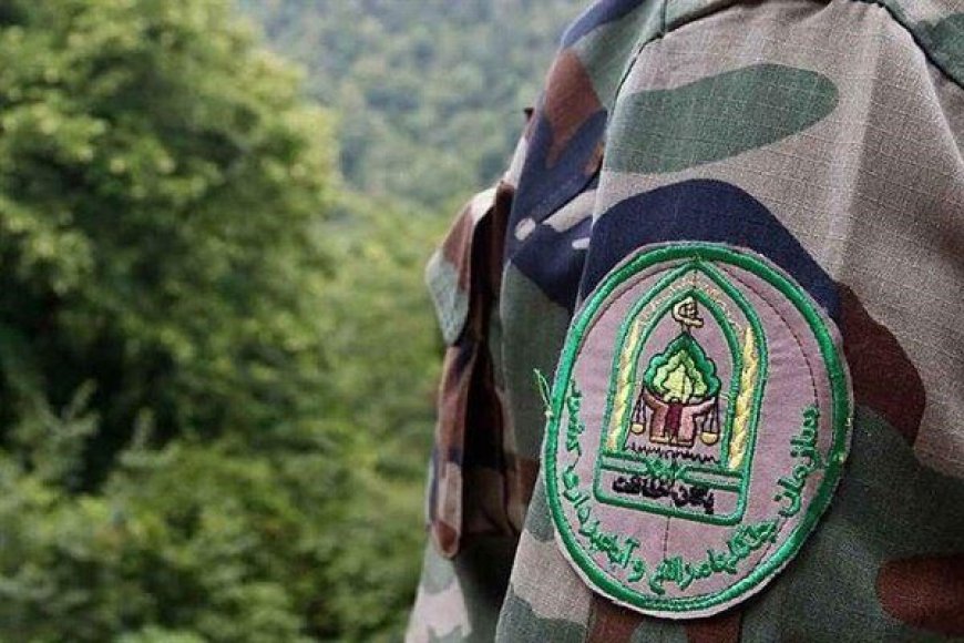 اعطای نشان «فداکار خدمت» به ۹ جانباخته اطفای حریق جنگل‌های زاگرس