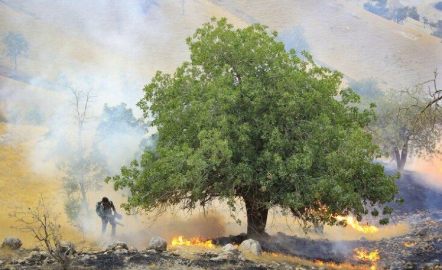 آتش‌سوزی در منطقه حفاظت‌شده شیمبار اندیکا مهار شد