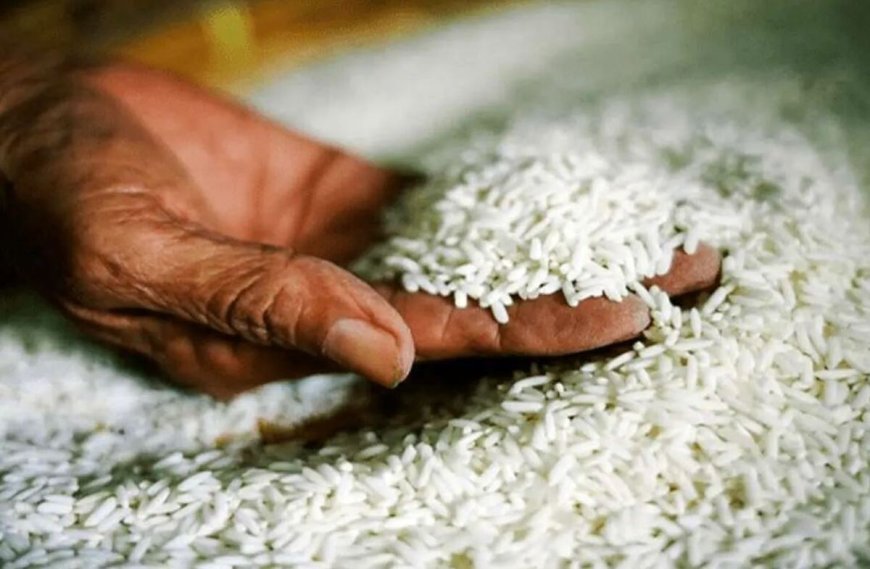 رنجی که به جان برنج افتاد
