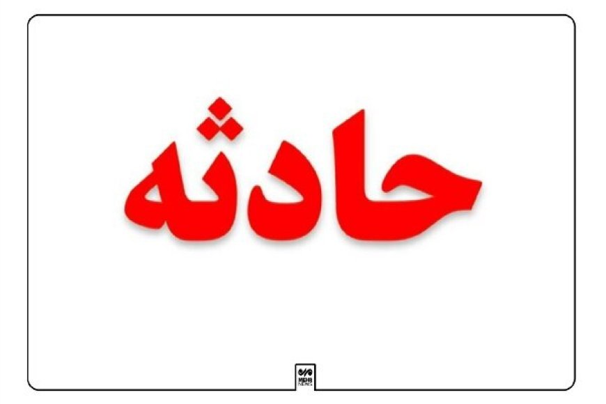 زن ۴۰ ساله در بندرکنگ هدف حمله سگ‌ ولگرد قرار گرفت