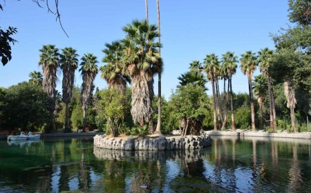 توضیح فرماندار چرام درباره آتش‌سوزی در باغ گردشگری چشمه بلقیس