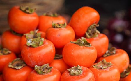 زمانی فرد: برداشت ۳۵۰۰ تن خرمالو در فارس پیش‌بینی می‌شود