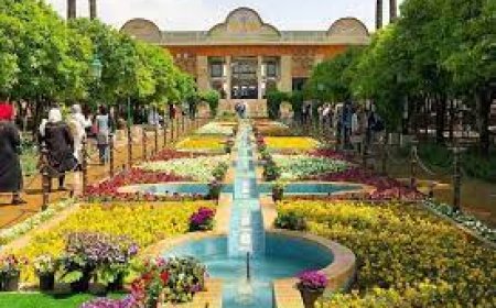 نارنجستان قوام/ایران جان /فارس ایران