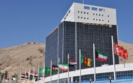 ۴۴ درخشش دانشگاه‌های ایران در رتبه‌بندی جهانی