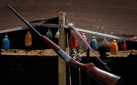 تفنگت را زمین بگذار