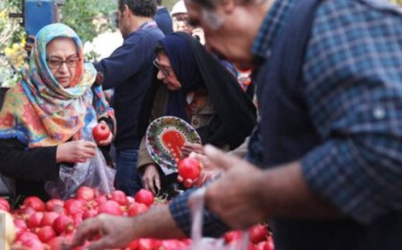 برپایی سومین جشنواره ملی انار و خرمالوی شیراز