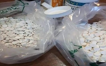 سردار ملکی: یک میلیون عدد قرص غیرمجاز در شیراز کشف شد