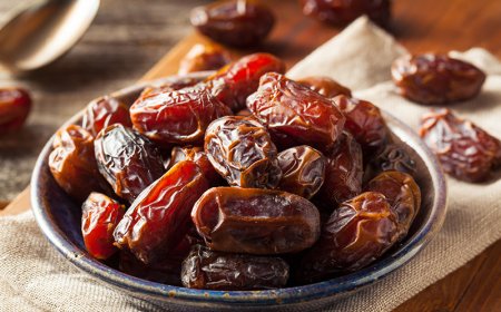 هفتمین نمایشگاه تخصصی خرما در بوشهر با مشارکت ۵۵ شرکت از ۱۰ استان