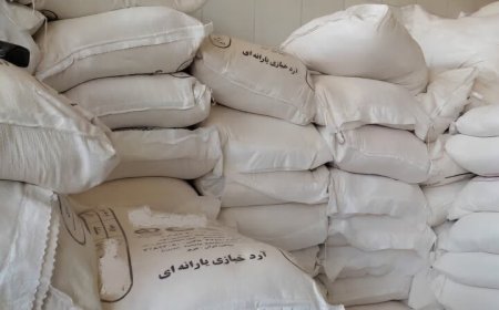 کشف بیش از ۱۳ تن آرد خارج از شبکه توزیع در شهرستان بویراحمد