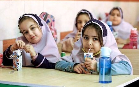 توزیع شیر در مدارس فارس معطل ابلاغ شیوه نامه