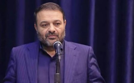 صدور کیفرخواست برای راننده هتاک به مردم هرمزگان