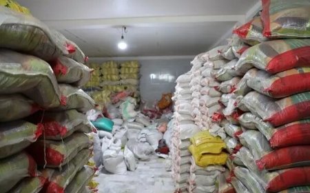 ۲۷ تُن برنج احتکار شده در شیراز کشف شد
