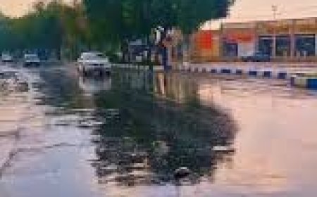 باران؛ حس ساده زندگی