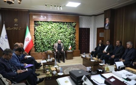تقویت صندوق‌های حمایت کشاورزی در خوزستان برای مقابله با خشکسالی و سرمازدگی