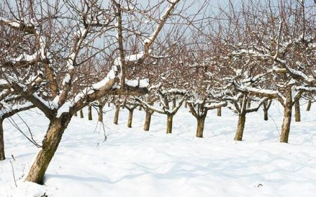 دشت نمدان اقلید سردترین نقطه فارس