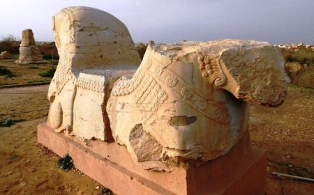 ۲۵۳ اثر تاریخی کاخ آپادانا شوش ایمن‌سازی و ساماندهی شد