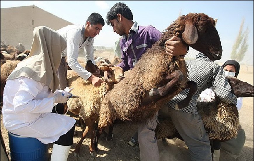 هشدار درباره تب‌برفکی در فارس